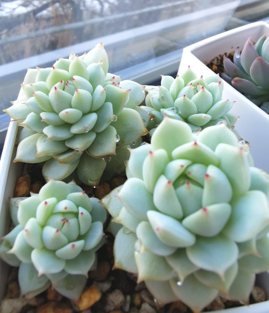 f:id:putetan:20230321161156j:image