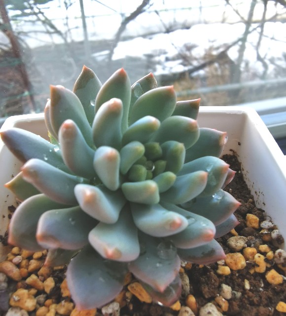 f:id:putetan:20230321161209j:image