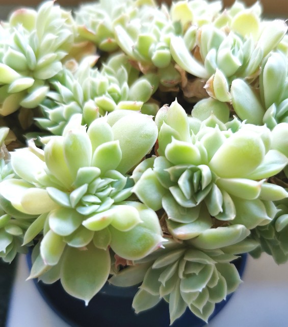 f:id:putetan:20230321161411j:image