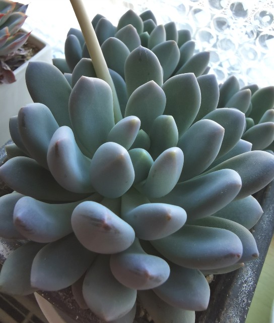 f:id:putetan:20230321162758j:image