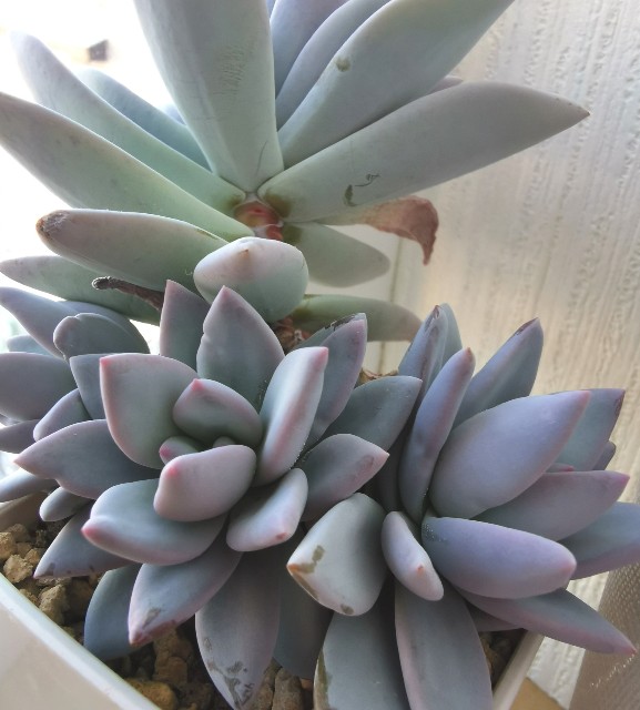 f:id:putetan:20230321162841j:image