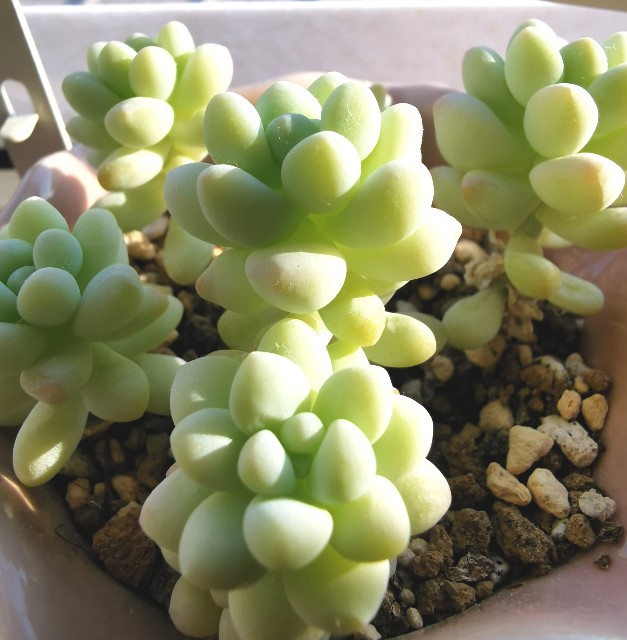 f:id:putetan:20230321162853j:image