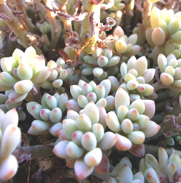 f:id:putetan:20230321162940j:image