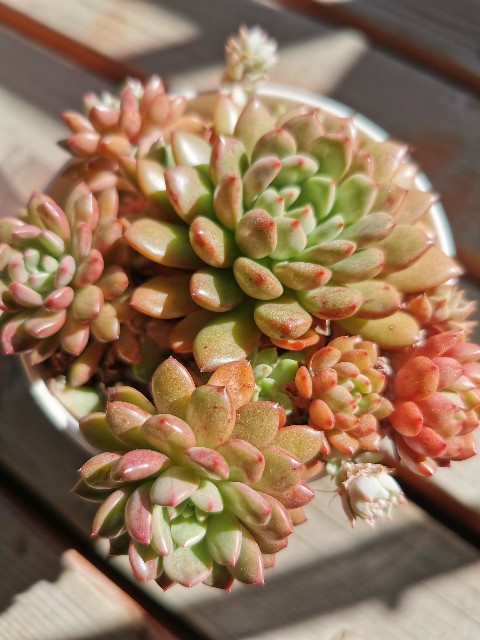 f:id:putetan:20230321163009j:image