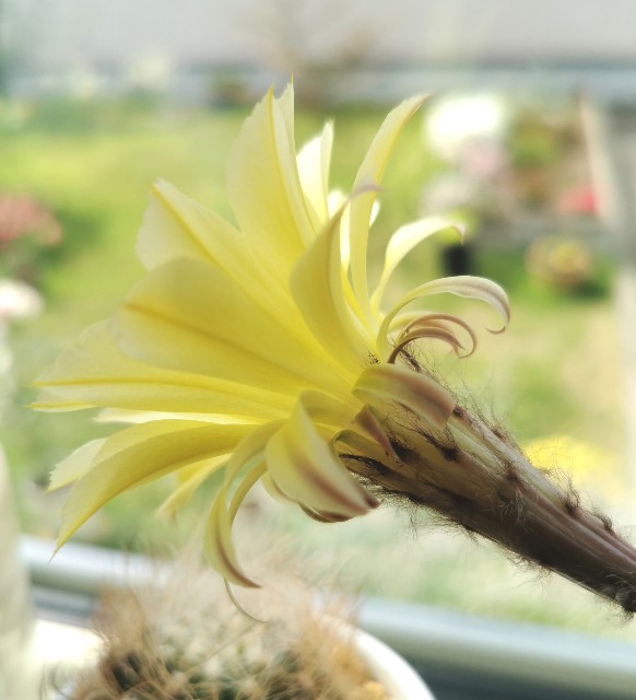 f:id:putetan:20230710151323j:image