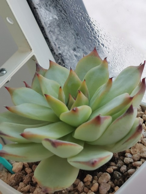 f:id:putetan:20231221154231j:image