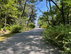 大和文華館05.jpg