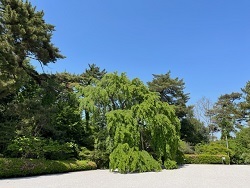 大和文華館08.jpg