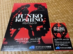 コシノジュンコ 原点から現点23.jpg