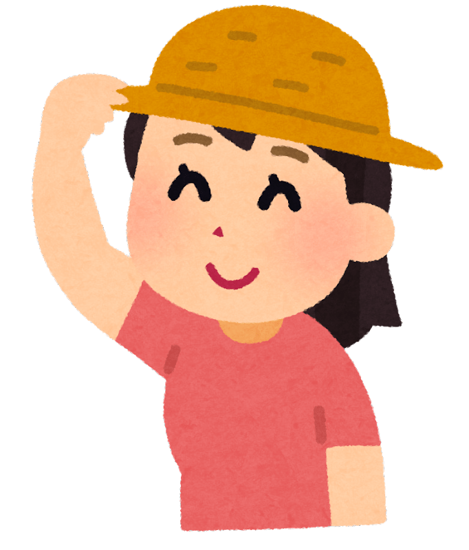 100均 賃貸でも壁紙を傷付けない 帽子を収納するのに役立ったグッズ プチプラ 節約好き関西人のブログ