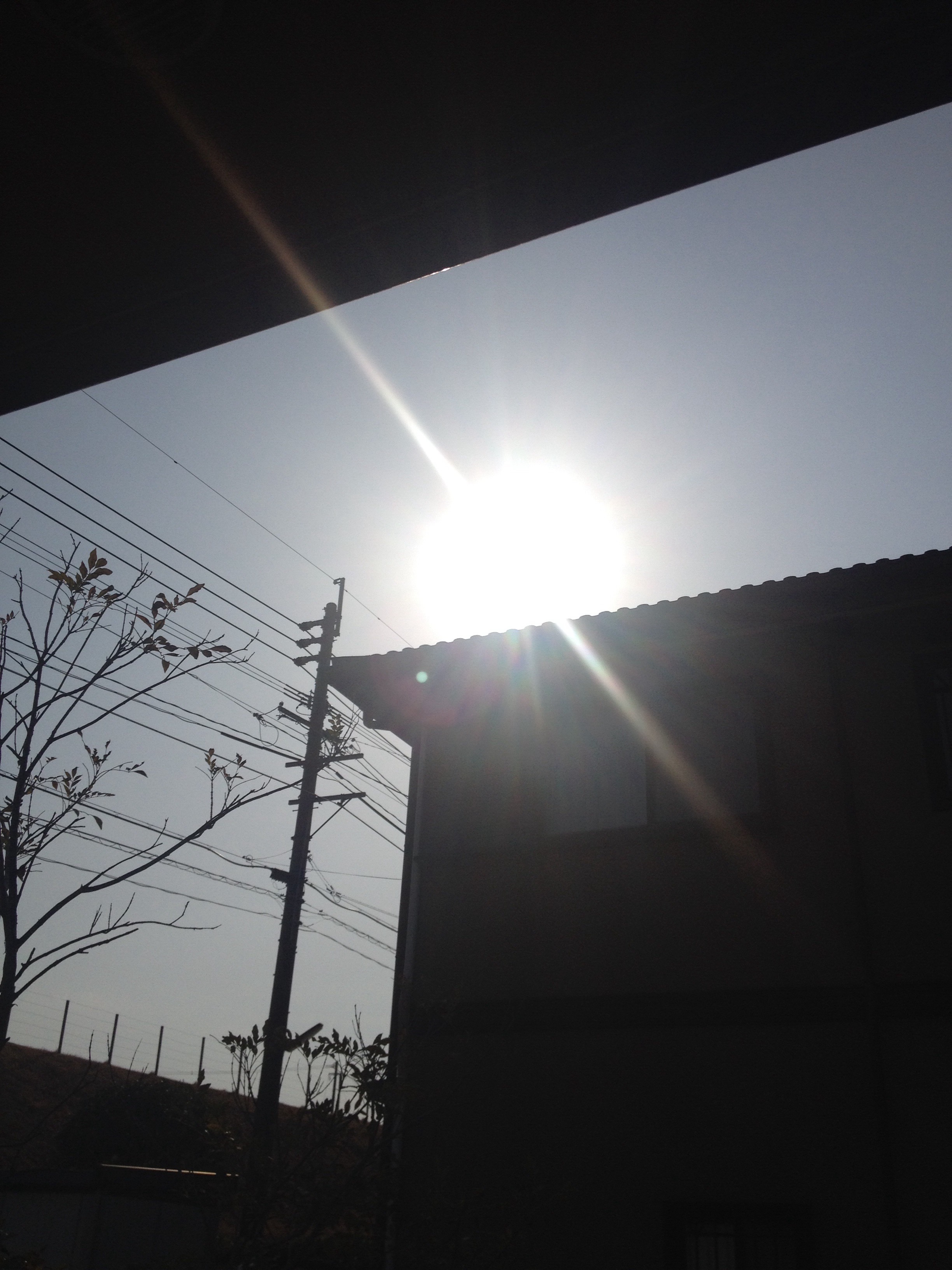 f:id:putiterasu:20170310091218j:image f:id:putiterasu:20170310091218j:image