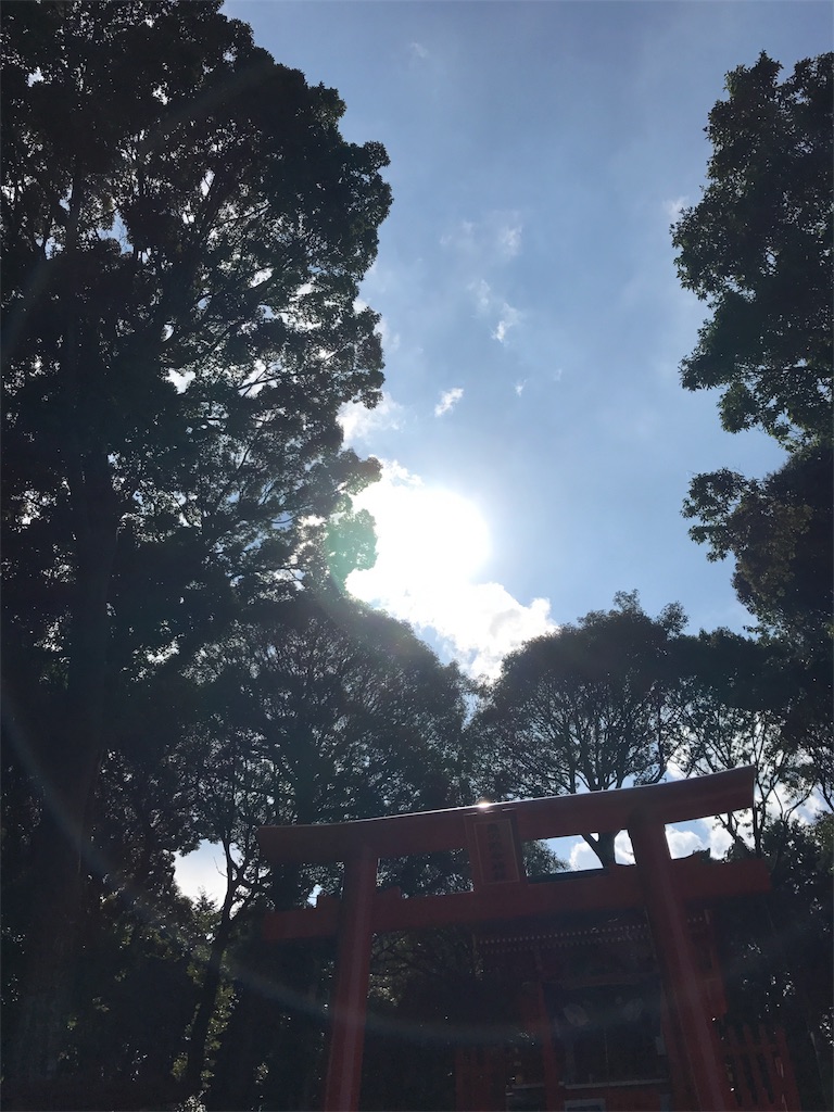 f:id:putiterasu:20170815225819j:image f:id:putiterasu:20170815225819j:image