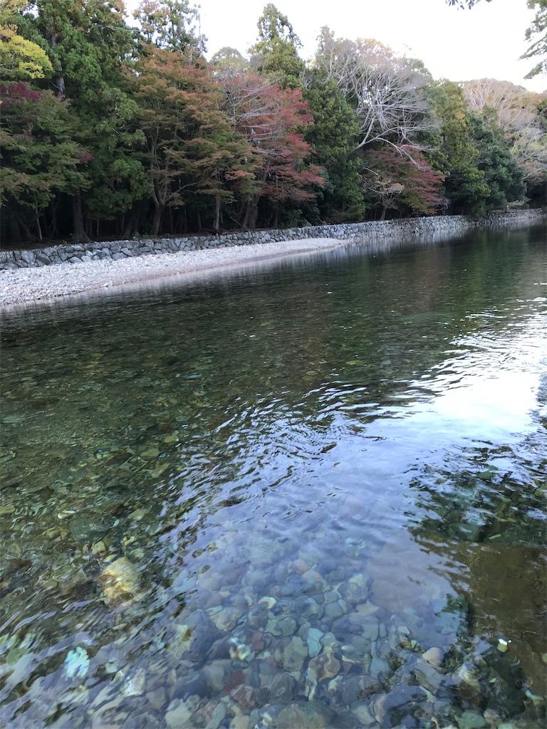 f:id:putiterasu:20181118215803j:image f:id:putiterasu:20181118215803j:image