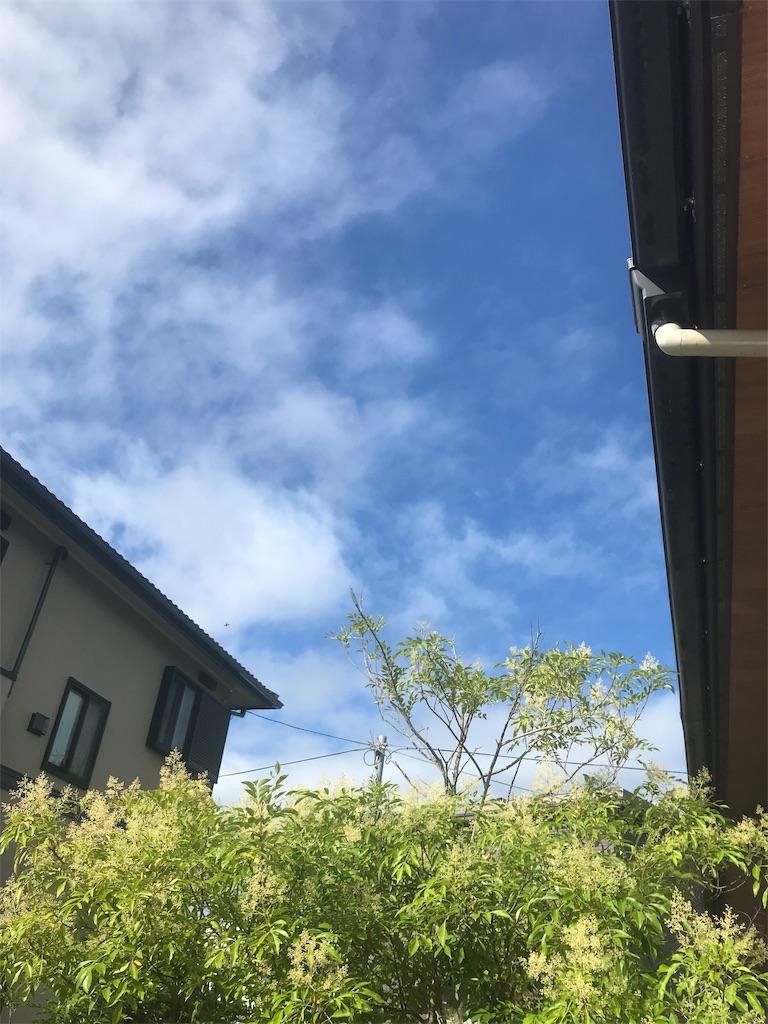 f:id:putiterasu:20190616072933j:image f:id:putiterasu:20190616072933j:image