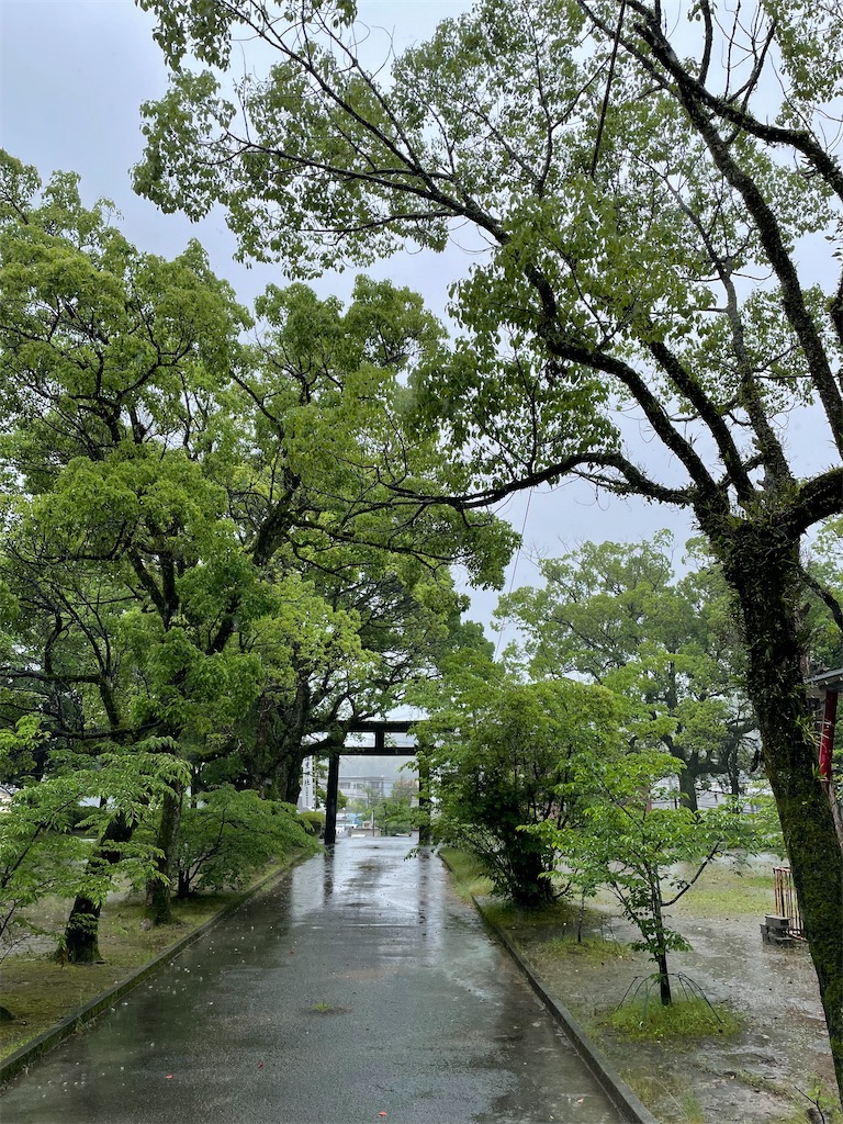 f:id:putiterasu:20220512190708j:image