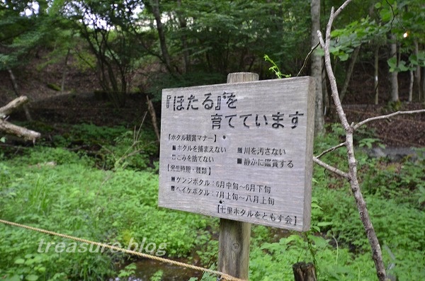 f:id:puusuketreasure:20180613224252j:plain