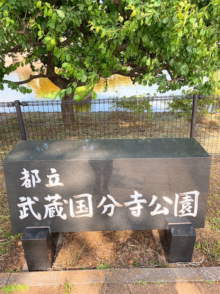 f:id:puwawawa:20190530173046j:plain f:id:puwawawa:20190530173046j:plain