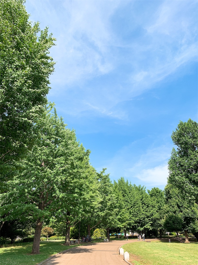 f:id:puwawawa:20190530173117j:plain f:id:puwawawa:20190530173117j:plain