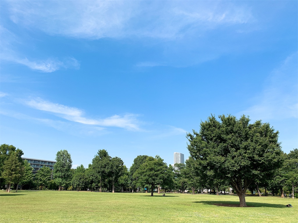 f:id:puwawawa:20190530173133j:plain f:id:puwawawa:20190530173133j:plain