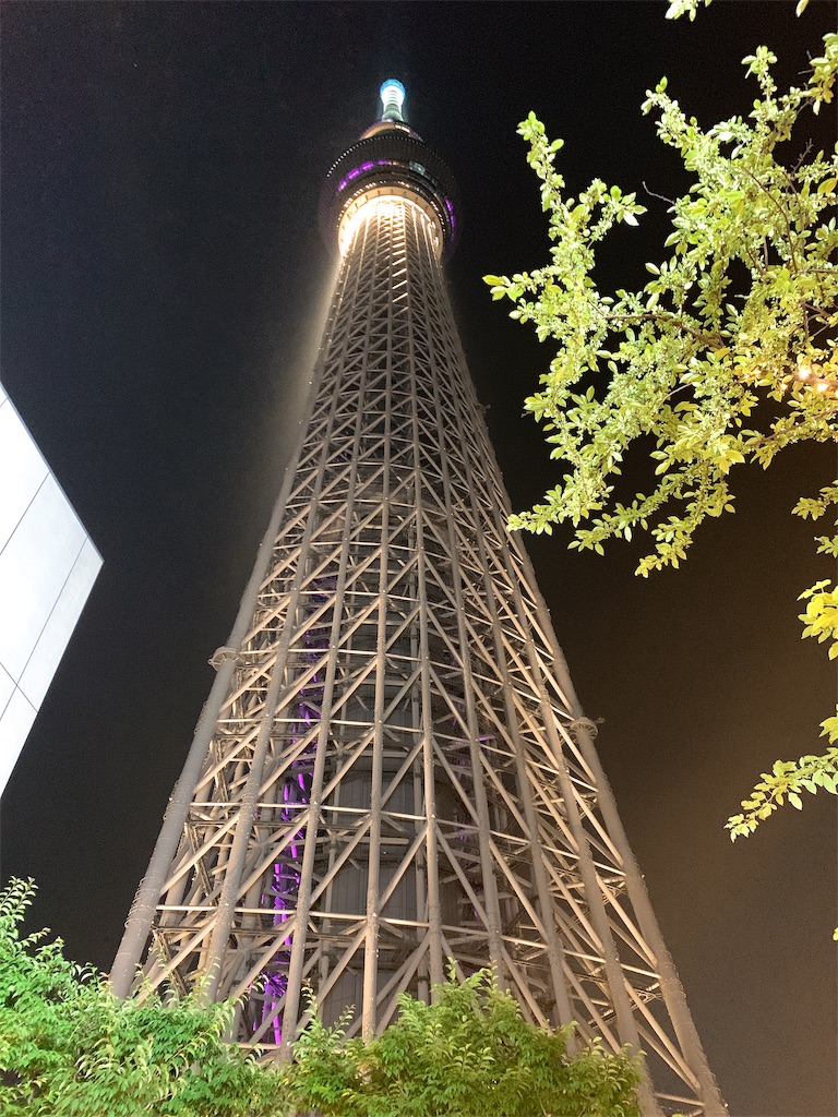 f:id:puwawawa:20190611184228j:plain f:id:puwawawa:20190611184228j:plain
