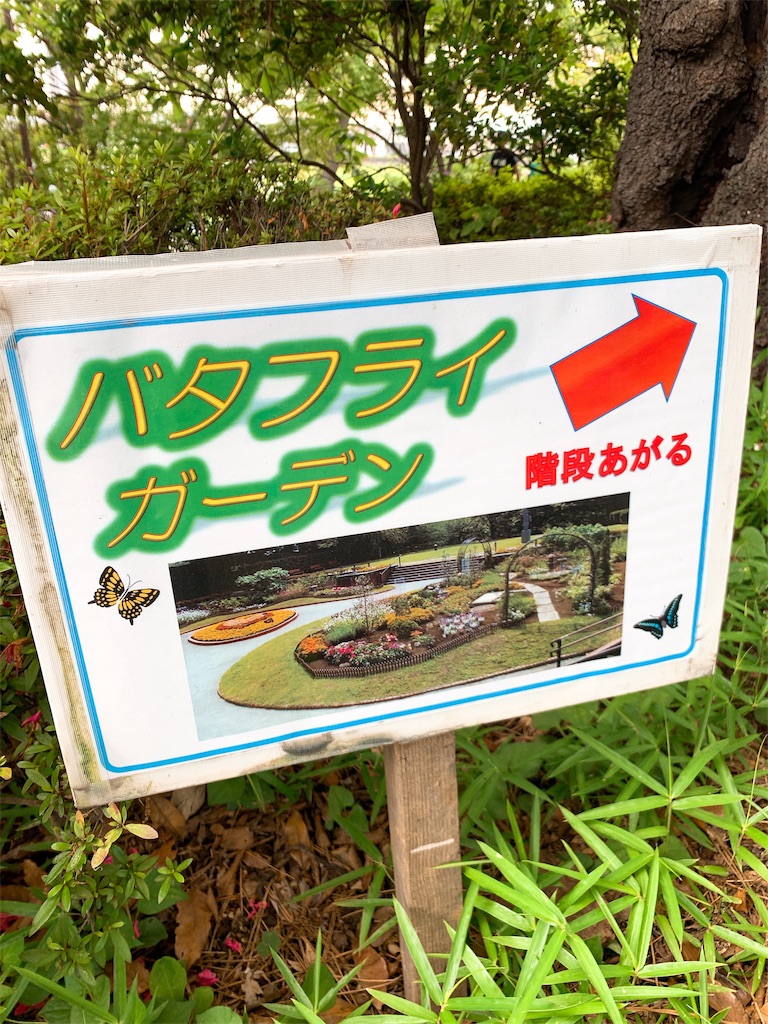 f:id:puwawawa:20190619203307j:plain f:id:puwawawa:20190619203307j:plain