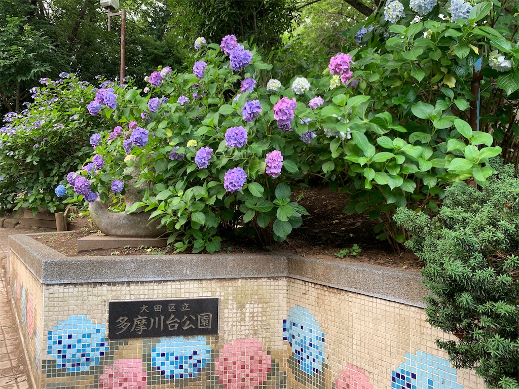 f:id:puwawawa:20190619203313j:plain f:id:puwawawa:20190619203313j:plain