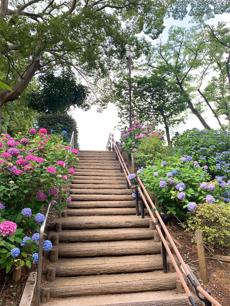 f:id:puwawawa:20190619203336j:plain f:id:puwawawa:20190619203336j:plain