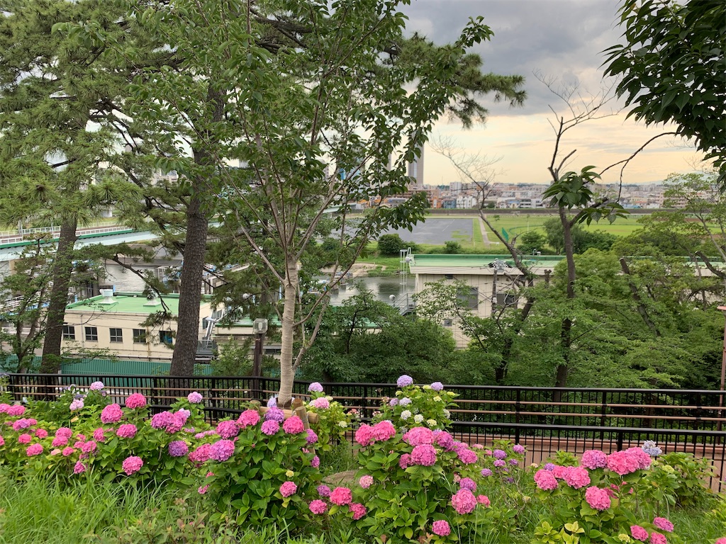 f:id:puwawawa:20190619203354j:plain f:id:puwawawa:20190619203354j:plain