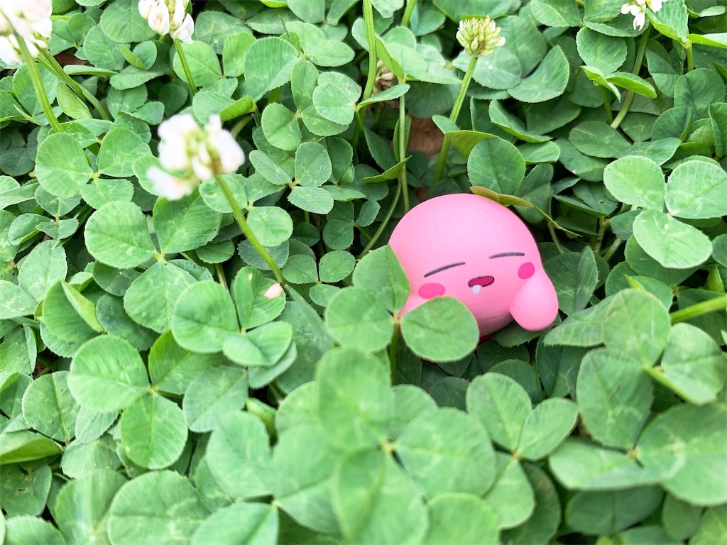 f:id:puwawawa:20190619203502j:plain f:id:puwawawa:20190619203502j:plain