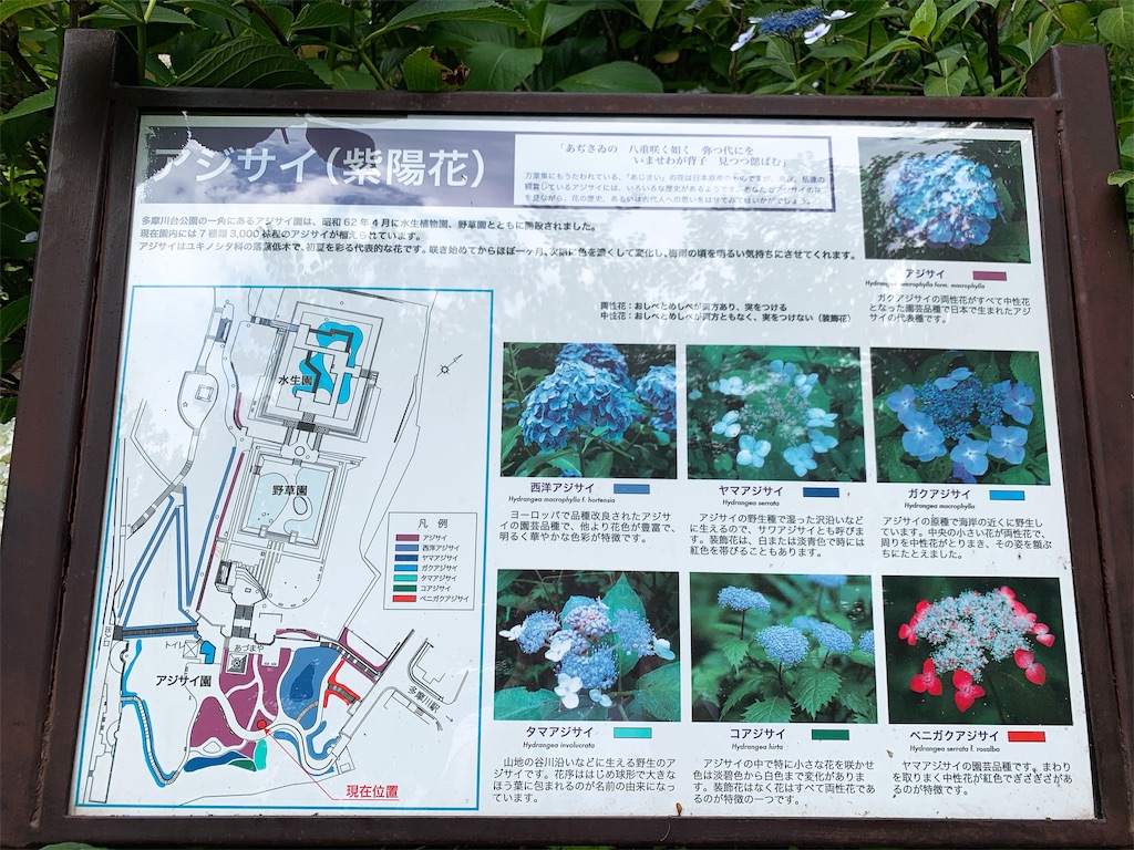 f:id:puwawawa:20190619203518j:plain f:id:puwawawa:20190619203518j:plain
