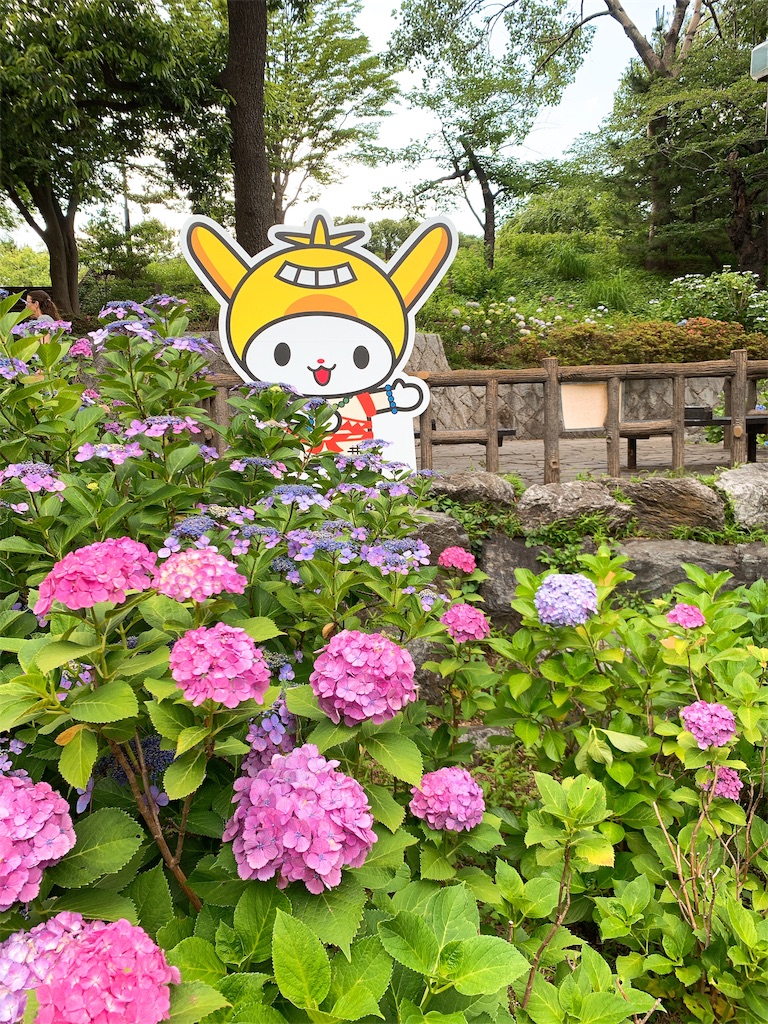 f:id:puwawawa:20190619203531j:plain f:id:puwawawa:20190619203531j:plain