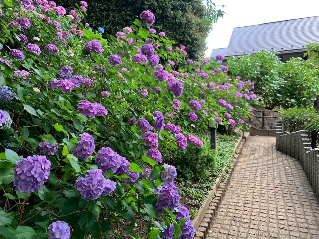 f:id:puwawawa:20190619203627j:plain f:id:puwawawa:20190619203627j:plain