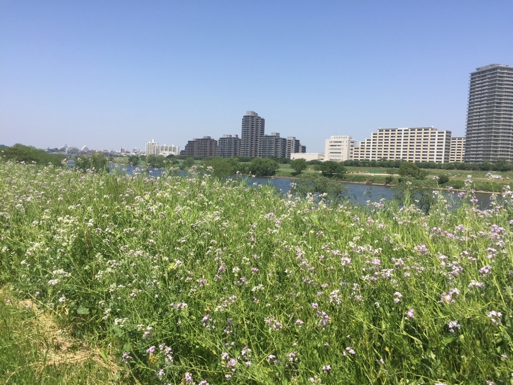 f:id:puyobike:20180421192350j:plain f:id:puyobike:20180421192350j:plain