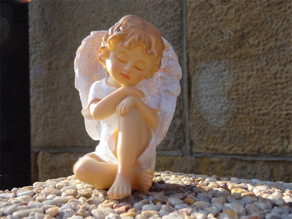 f:id:puyomari1029:20171118114437j:image