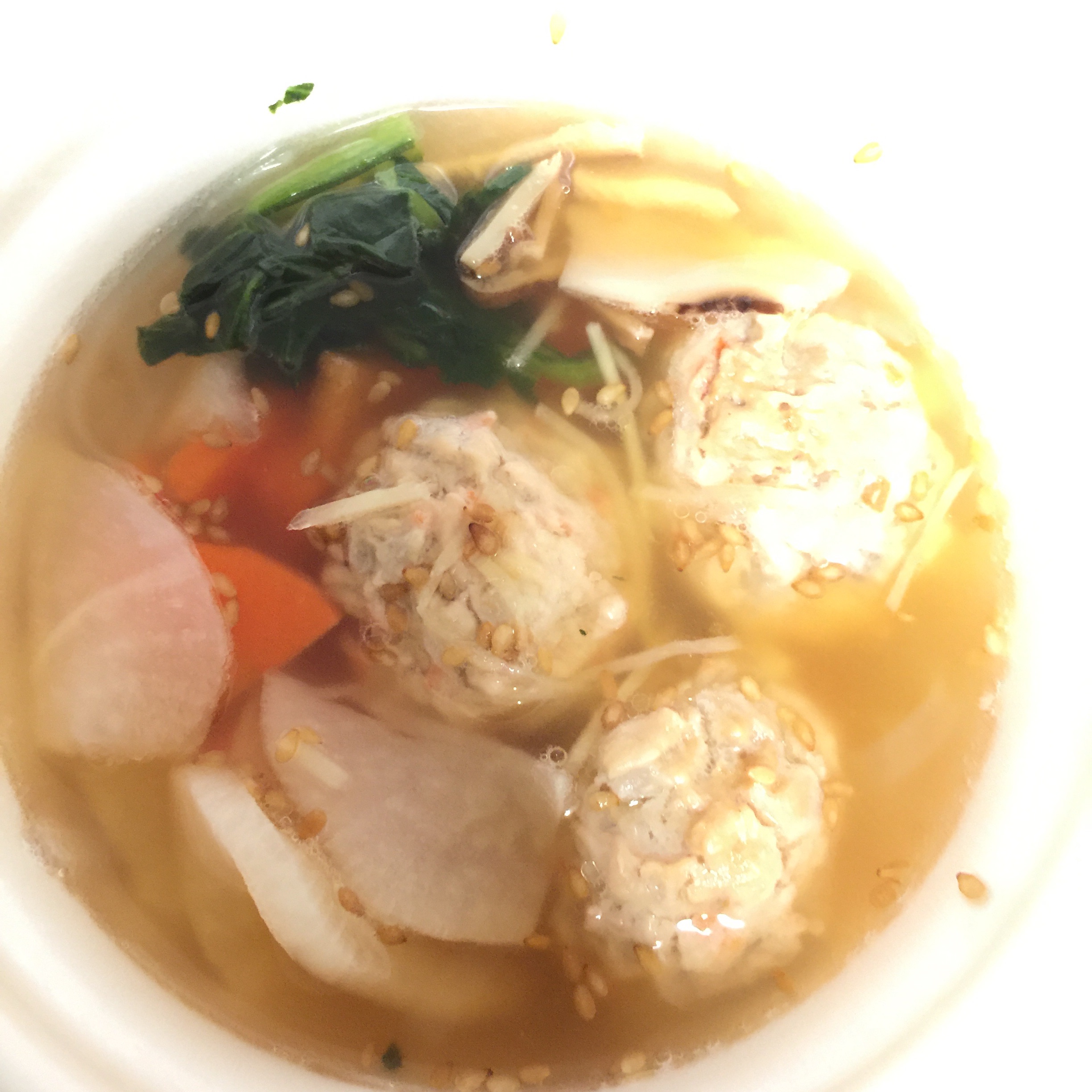 f:id:puyomari1029:20210313120948j:image f:id:puyomari1029:20210313120948j:image
