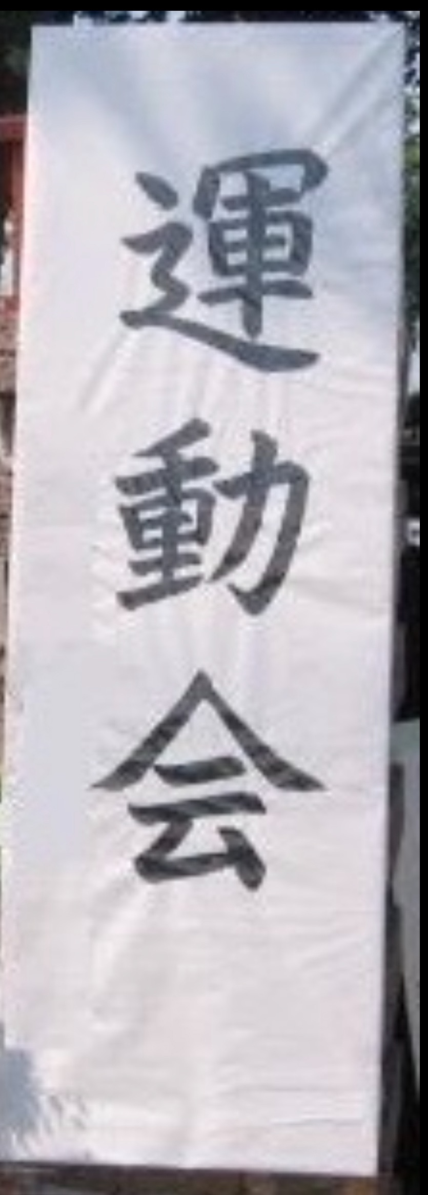 f:id:puyomari1029:20240919130743j:image