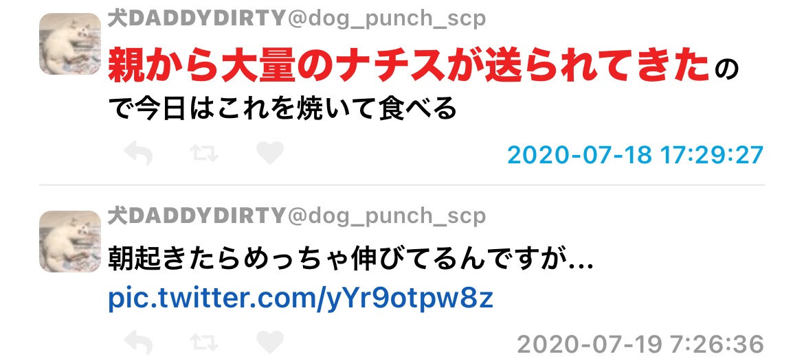 f:id:puyomari1029:20241017153555j:image