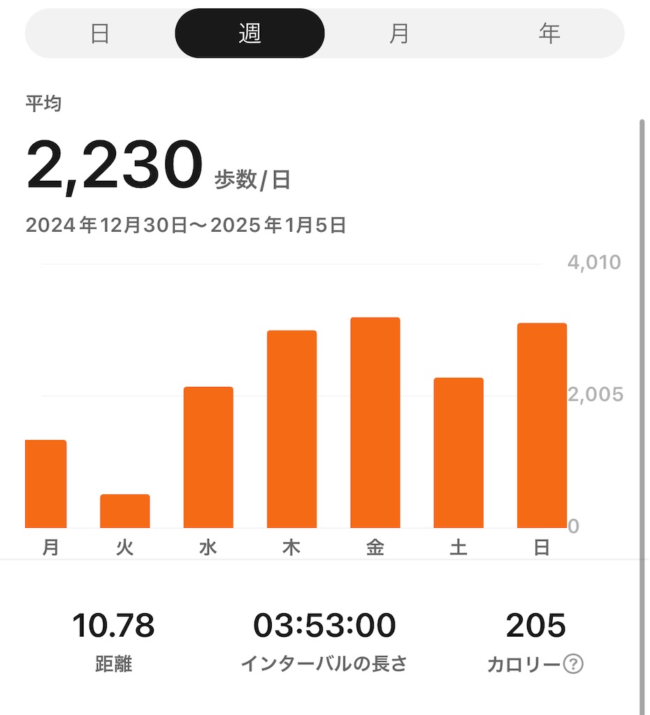 f:id:puyomari1029:20250107095303j:image