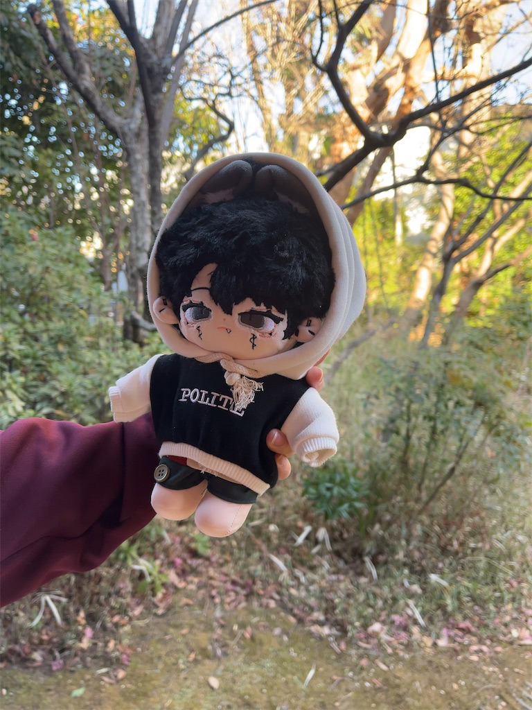 f:id:puyomari1029:20250216110126j:image
