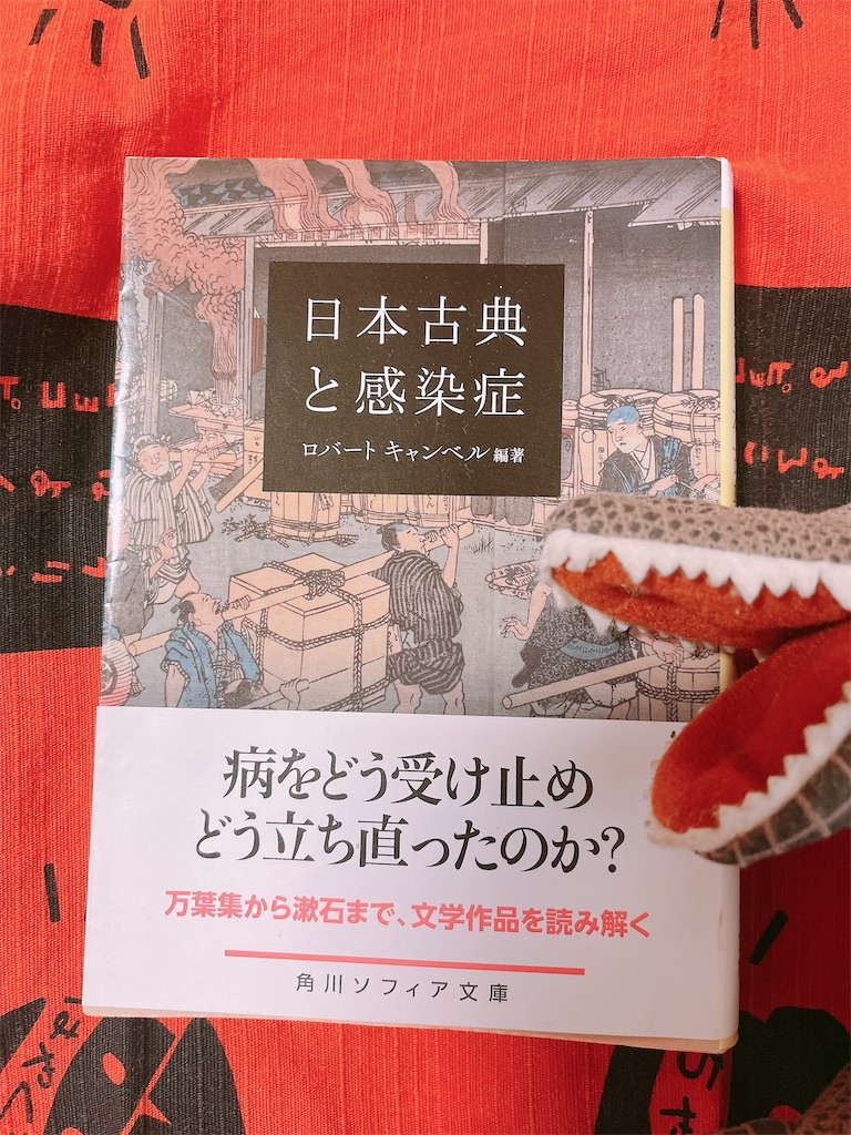 f:id:puyomari1029:20250226101707j:image