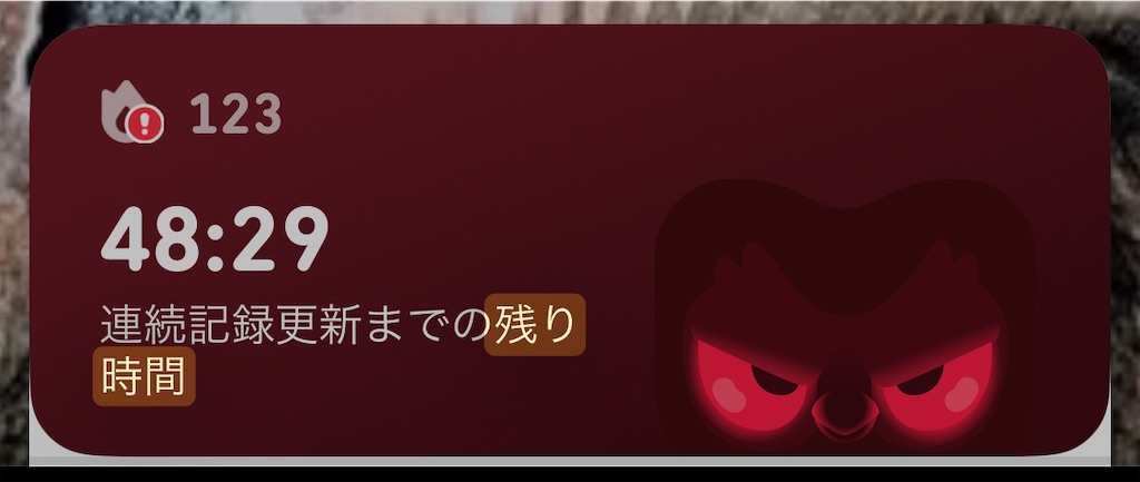 f:id:puyomari1029:20250513140728j:image