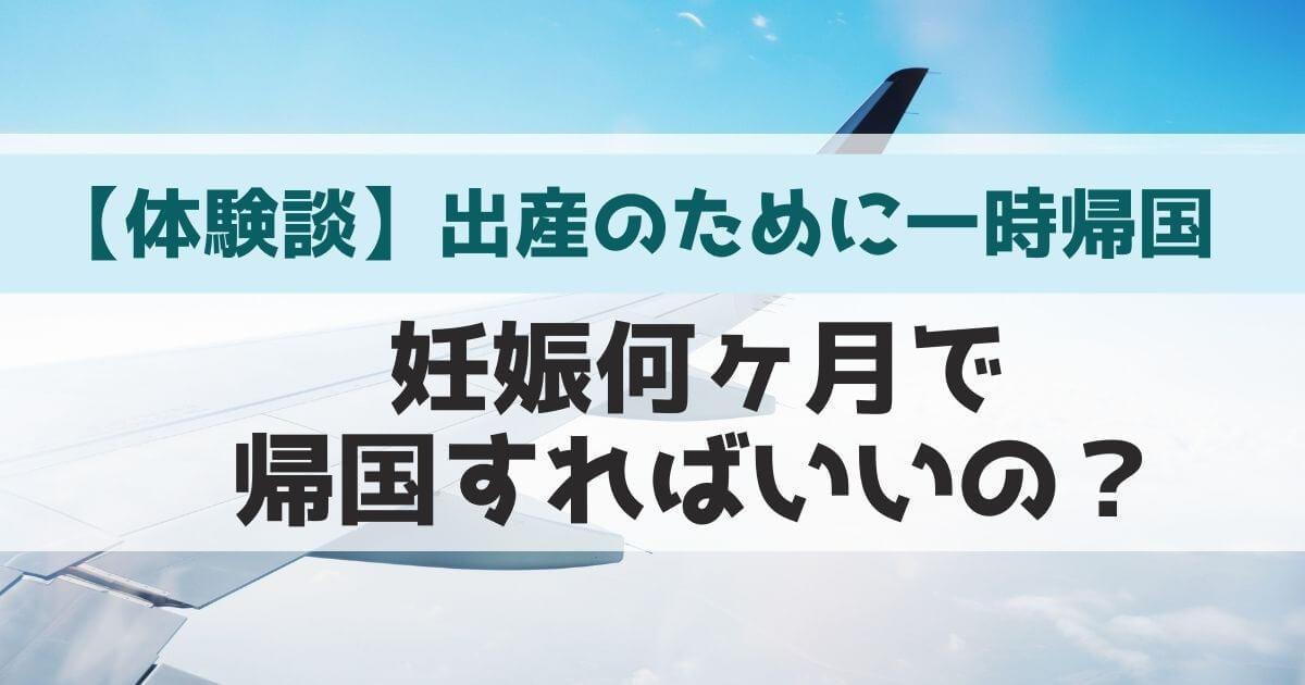日本で出産予定 駐在妻は妊娠何ヶ月で一時帰国するのがいいの ぷよんすたいる 日本で出産予定 駐在妻は妊娠何ヶ月で一時帰国するのがいいの ぷよんすたいる