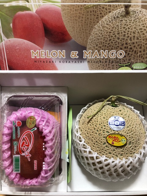 f:id:puyonda:20200603020557j:plain f:id:puyonda:20200603020557j:plain