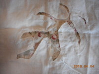 f:id:pwdaisuki:20180404144224j:image:right