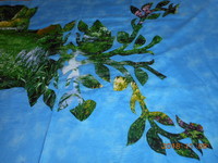 f:id:pwdaisuki:20181108135006j:image:left