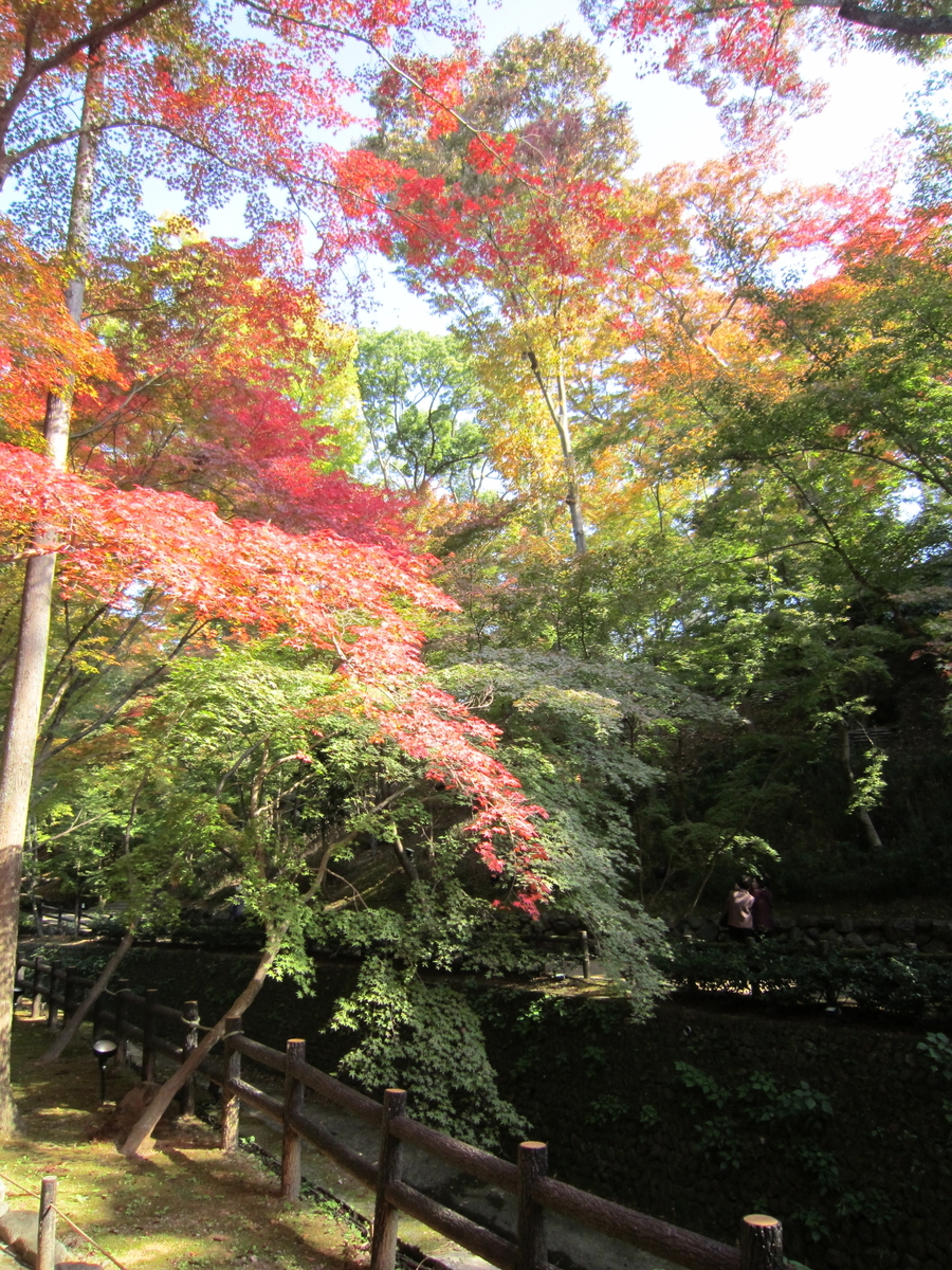 紅葉