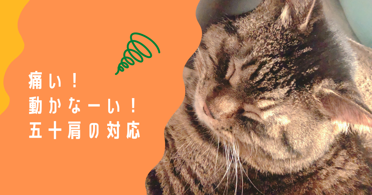 f:id:pyi:20210623121356p:plain