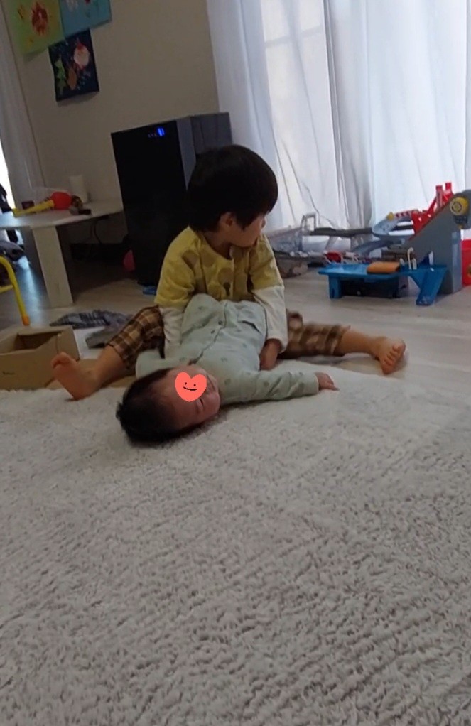 f:id:pyokomoke:20260123095233j:image f:id:pyokomoke:20260123095233j:image