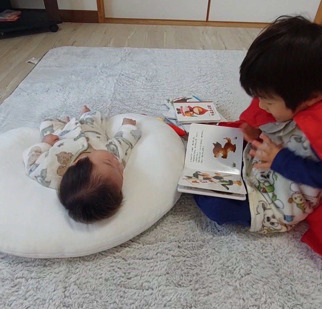 f:id:pyokomoke:20260123100016j:image f:id:pyokomoke:20260123100016j:image