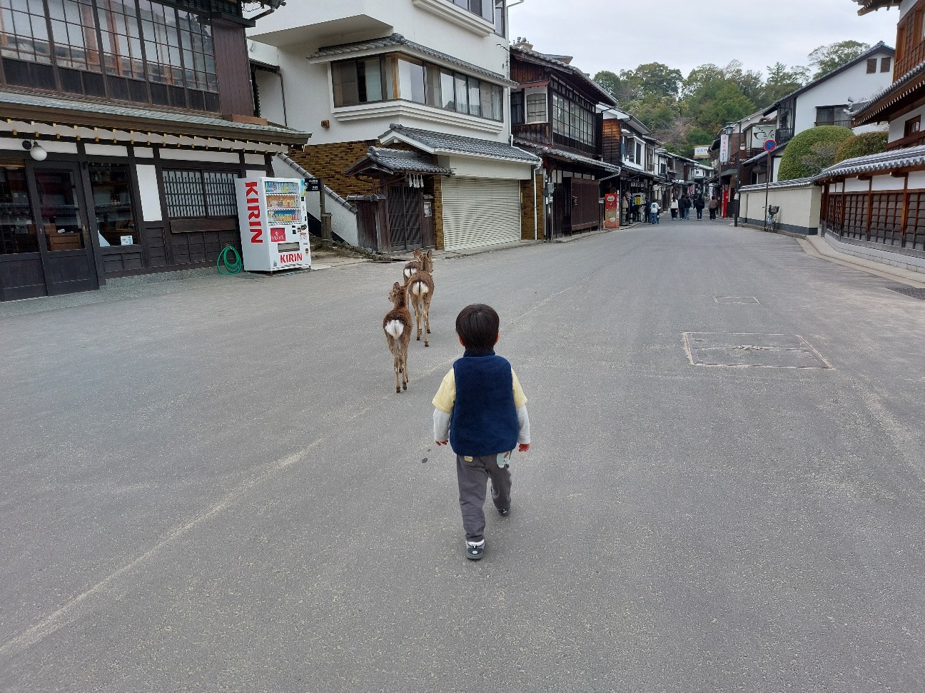 f:id:pyokomoke:20260325101118j:image f:id:pyokomoke:20260325101118j:image